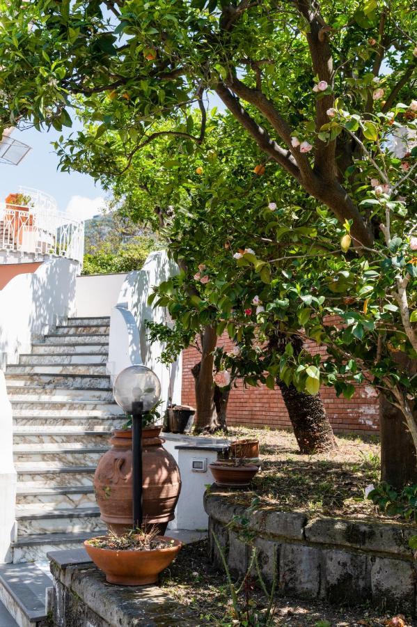 Villa Francesca Relais Piano di Sorrento Zewnętrze zdjęcie